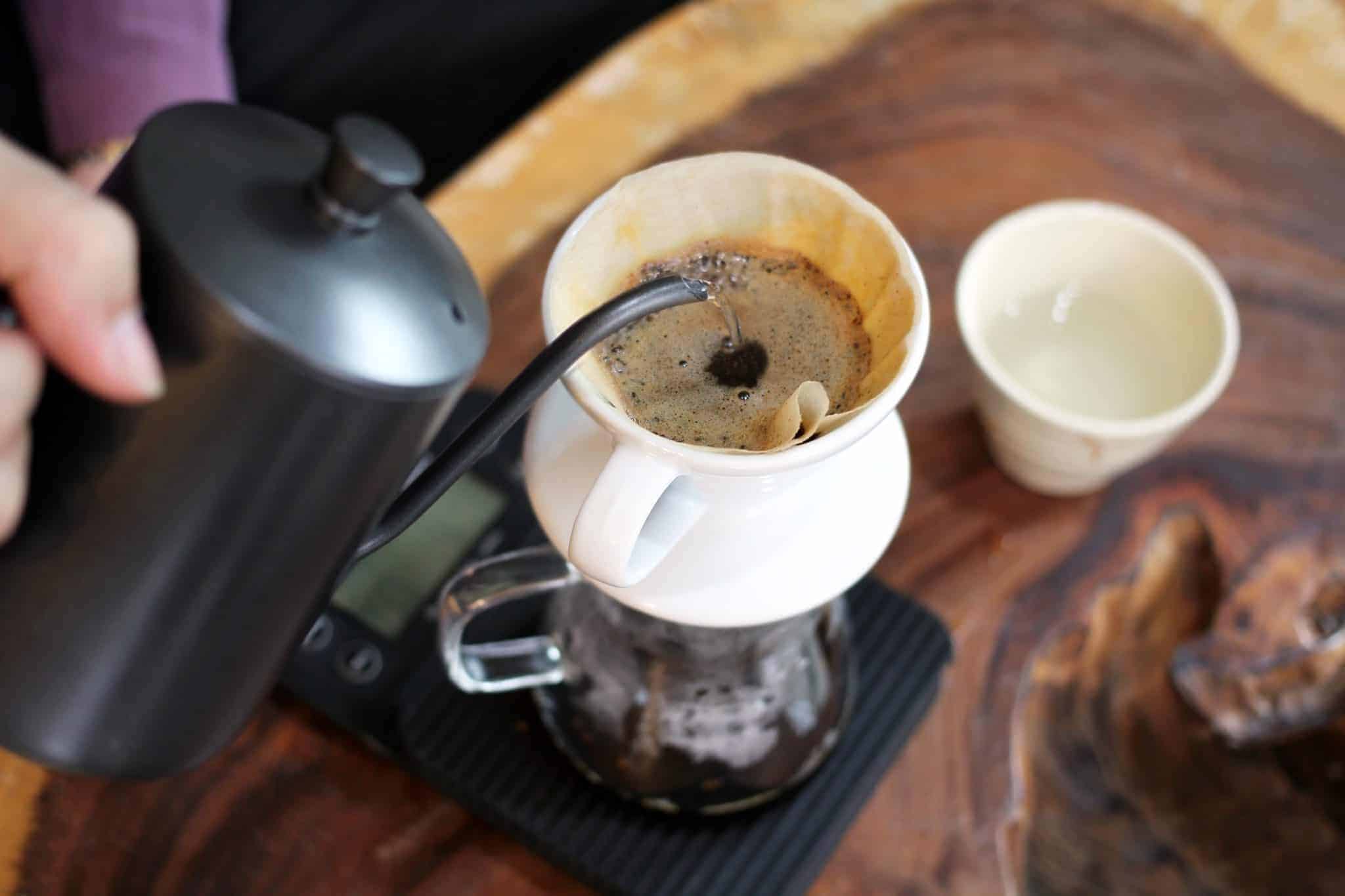 Can You Drink Coffee After A Root Canal Taste The Latte