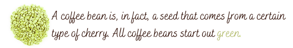 A coffee bean is, in fact, a seed that comes from a certain type of cherry. All coffee beans start out green. 